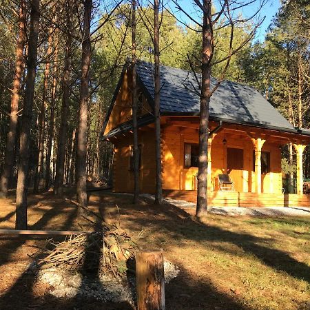 Forest Inn Trzepieciny Esterno foto