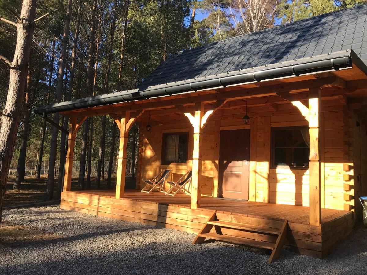 Forest Inn Trzepieciny Esterno foto