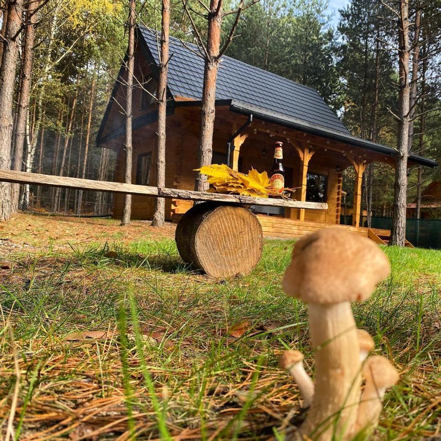Forest Inn Trzepieciny Esterno foto