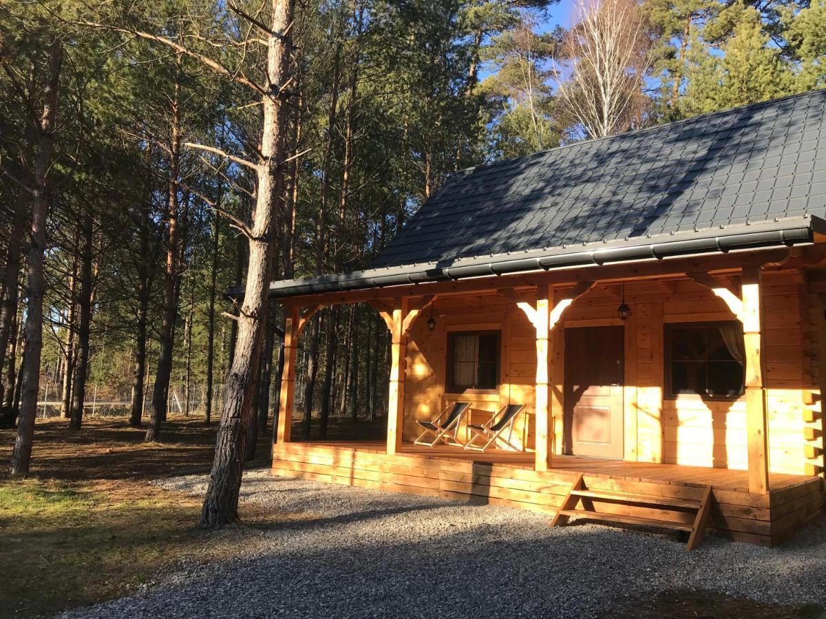 Forest Inn Trzepieciny Esterno foto