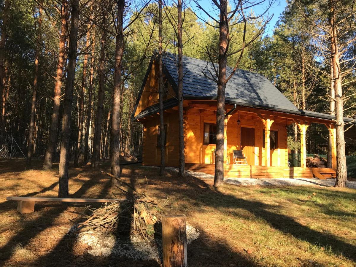 Forest Inn Trzepieciny Esterno foto